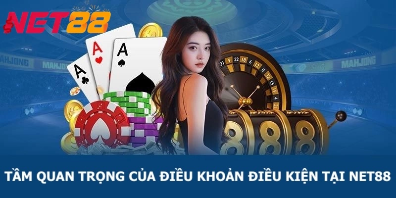 Mức độ quan trọng của chính sách điều khoản và điều kiện tại nhà cái